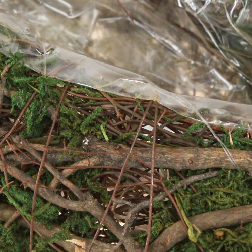 daiktų Mažas gėlių vazonas „Plant Wave Vines“ su samanomis, 31 × 15 × 7 cm