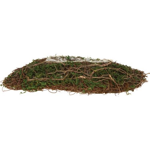 daiktų Mažas gėlių vazonas „Plant Wave Vines“ su samanomis, 31 × 15 × 7 cm