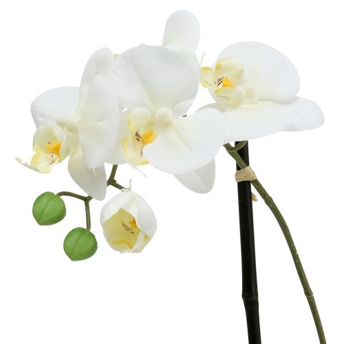 daiktų Phalaenopsis baltas dubenėlio gėlių papuošimas H38cm