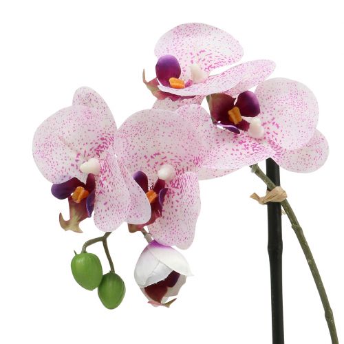 daiktų Dirbtinis Phalaenopsis purpuriškai baltas dubenėlyje H38cm