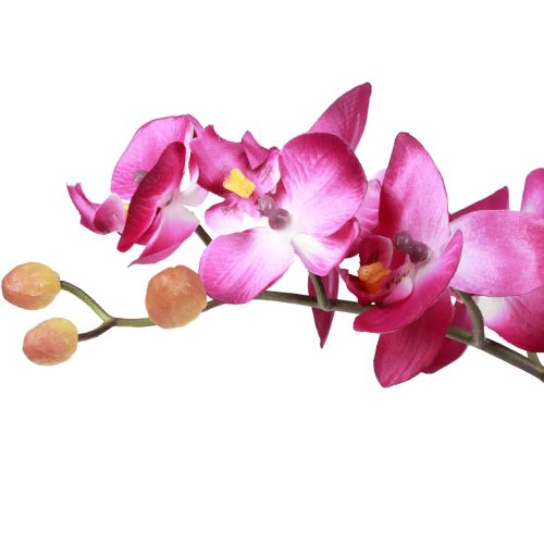 daiktų Dirbtinės orchidėjos vazone Phalaenopsis dirbtinės gėlės orchidėjos rožinės spalvos 34cm