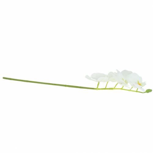 Floristik24 Dirbtinė orchidėjos šakelė Phaelaenopsis White H49cm