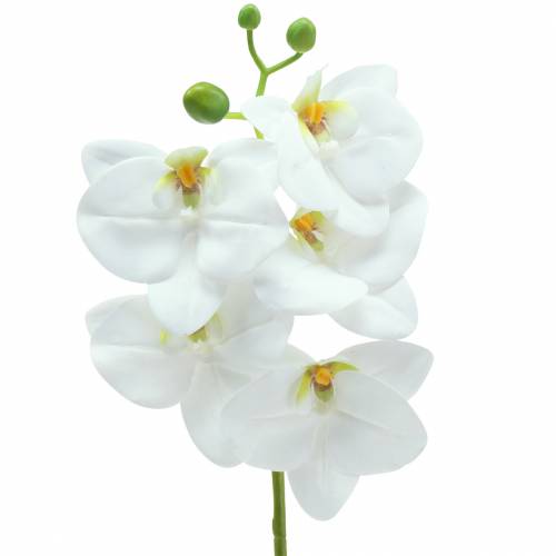 Floristik24 Dirbtinė orchidėjos šakelė Phaelaenopsis White H49cm