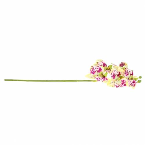 daiktų Dirbtinė orchidėjos šakelė Phaelaenopsis Green Pink H49cm