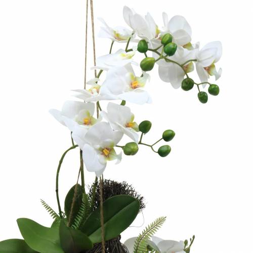 Orchidėja su paparčiu ir samanų kamuoliuku dirbtinis baltas kabantis 64cm