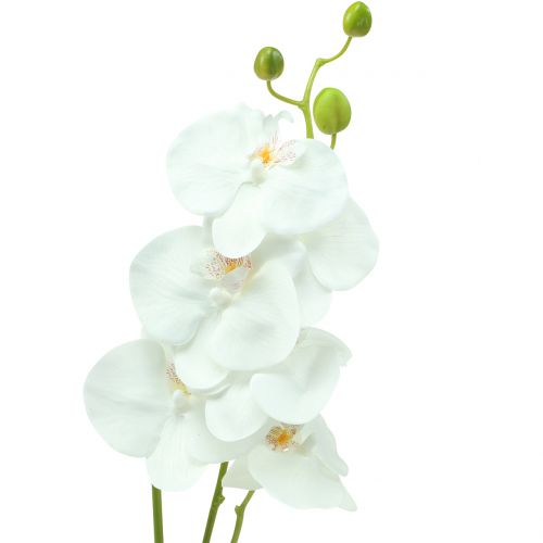 Floristik24 Orchidėja Phalaenopsis dirbtinė balta 80cm