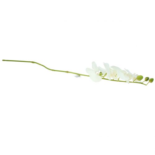 Floristik24 Orchidėja Phalaenopsis dirbtinė balta 80cm