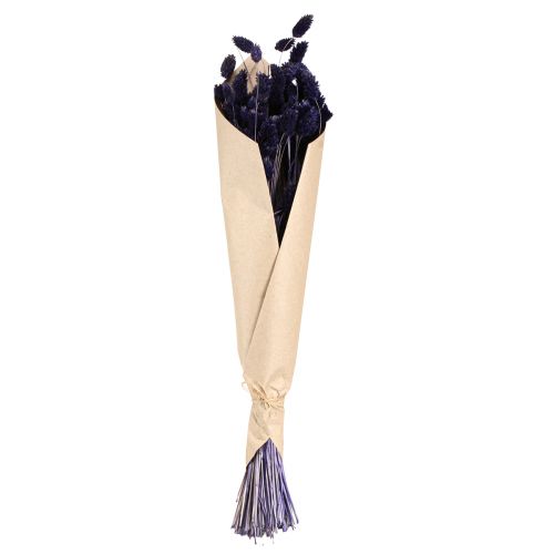 daiktų Phalaris Violetinė Džiovinta Žolė Blizga žolė 50-55cm 100g