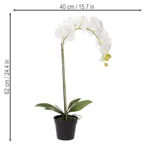 daiktų Dirbtinė orchidėja, apgaulingai tikroviška, biuro ir svetainės dekoravimui, 62 cm