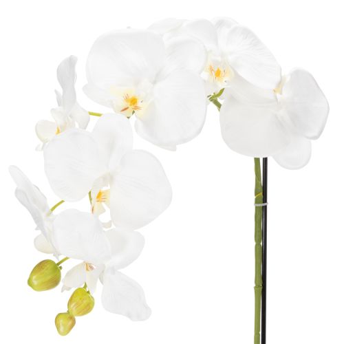 daiktų Dirbtinė orchidėja, apgaulingai tikroviška, biuro ir svetainės dekoravimui, 62 cm