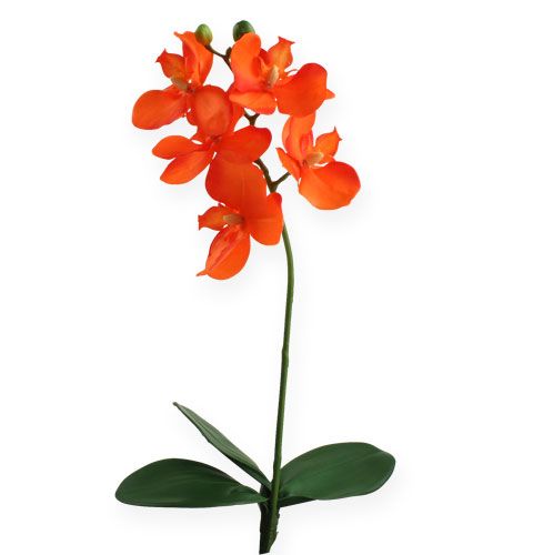 Floristik24 Dirbtinė orchidėja su lapeliais oranžiniais 35cm