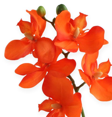 daiktų Dirbtinė orchidėja su lapeliais oranžiniais 35cm