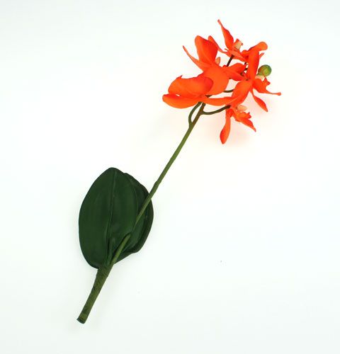 Floristik24 Dirbtinė orchidėja su lapeliais oranžiniais 35cm
