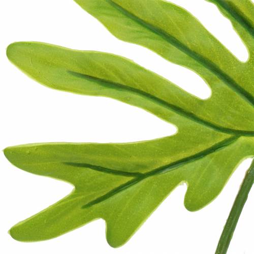 daiktų Filodendro lapas žalias 40cm