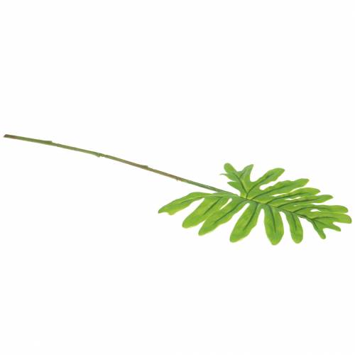 Floristik24 Filodendro lapas žalias 40cm