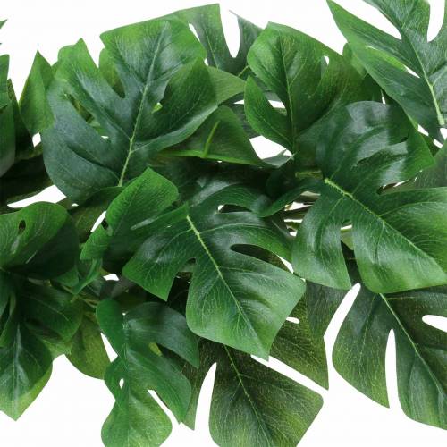 Floristik24 Filodendro kabykla žalia 85cm
