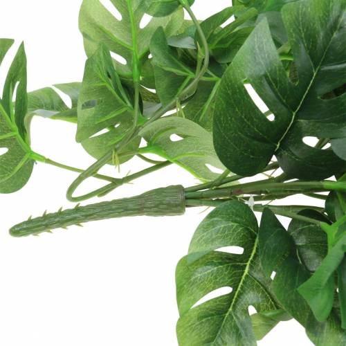 Floristik24 Filodendro kabykla žalia 85cm
