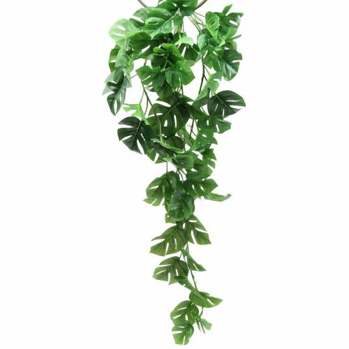 Floristik24 Filodendro kabykla žalia 85cm