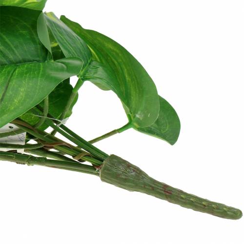 Floristik24 Dirbtinio filodendro kabykla 110cm