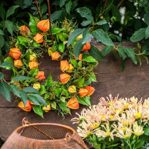 Floristik24 Fizalio vainikas dirbtinis oranžinis, žalias Ø28cm rudens puošmena