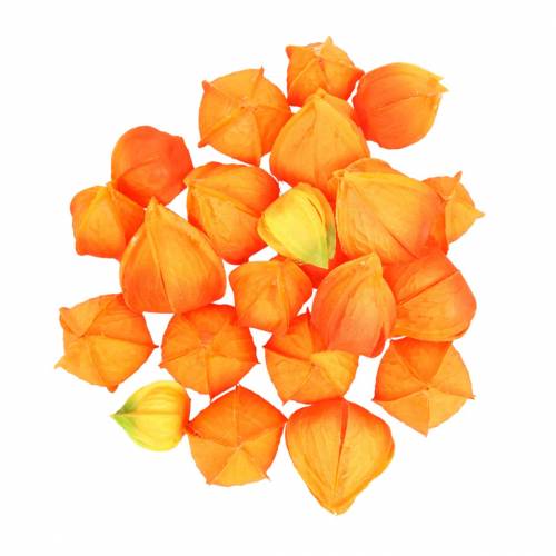 Physalis Orange Asorted 22vnt dekoratyvinės dirbtinės taurelės