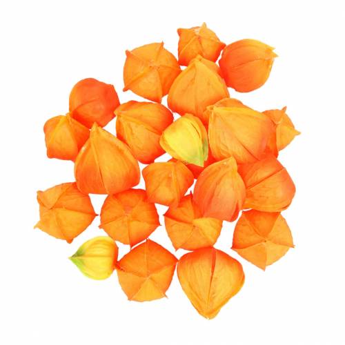 Floristik24 Physalis Orange Asorted 22 vnt dekoratyvinės dirbtinės taurelės