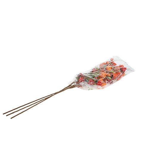 Floristik24 Fizalio šakelė 90cm oranžinė 3vnt