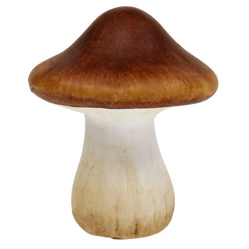 Floristik24 Grybų mišinys iš molio-keraminės rudos 9cm 8vnt