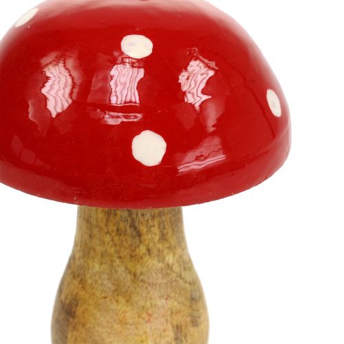 Floristik24 Rupūžio žiobris pagamintas iš raudonos medienos 15,5 cm