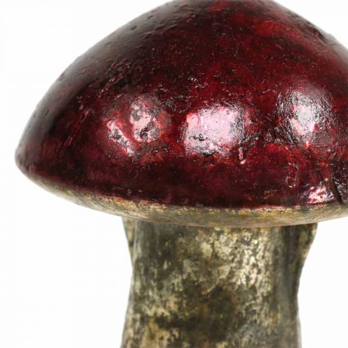 Floristik24 Deco grybai stiklinė raudona rudens puošmena stalo puošmena Ø6.5cm H10cm 3vnt