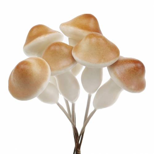 Floristik24 Grybai ant vielos gamtos 2cm 48 vnt