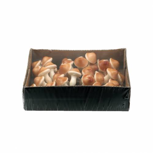 Floristik24 Grybai ant vielos gamtos 2cm 48 vnt