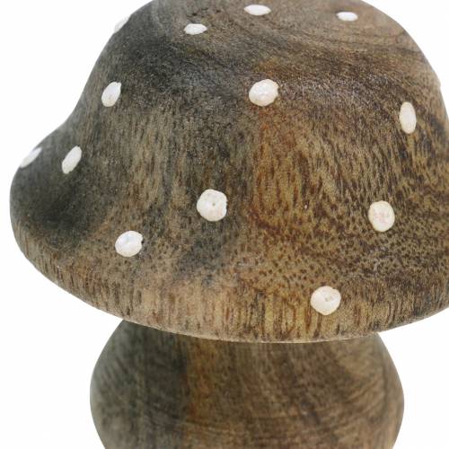 Floristik24 Dekoratyvinė grybo medžio gamta 5cm 6vnt