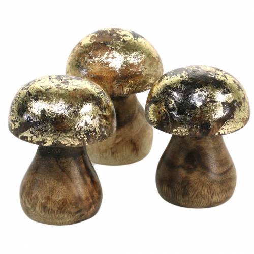 Floristik24 Medinis grybas auksinis, natūralus mango medis Ø5cm A6,5cm 4vnt