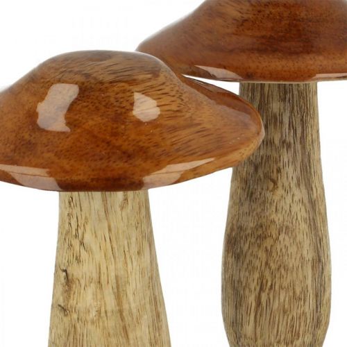Floristik24 Grybų mango medienos ruda, gamtos stalo puošmena rudens Ø9cm H12cm 2vnt
