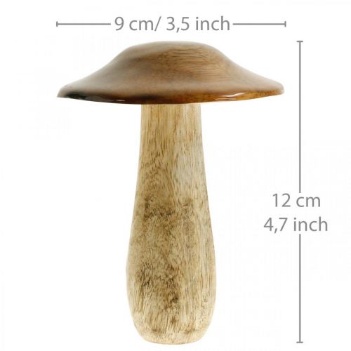 Floristik24 Grybų mango medienos ruda, gamtos stalo puošmena rudens Ø9cm H12cm 2vnt