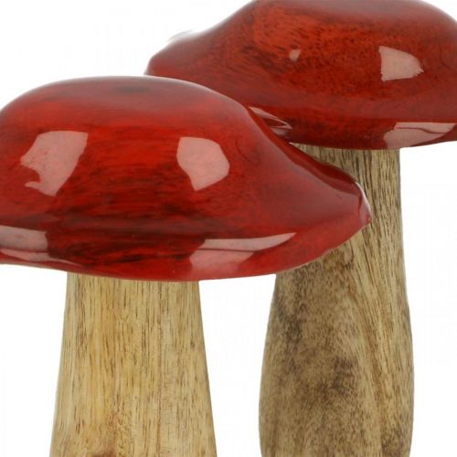 Floristik24 Grybų mango medienos raudona, gamtos puošmena rudens Ø9cm H12cm 2vnt