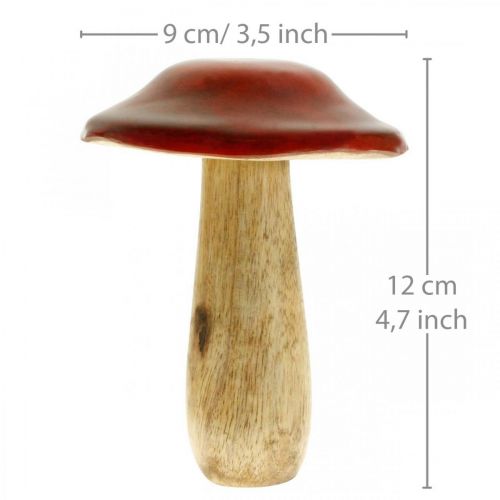 Floristik24 Grybų mango medienos raudona, gamtos puošmena rudens Ø9cm H12cm 2vnt