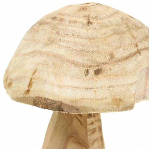 Floristik24 Grybų paulownia mediena Ø16cm H18cm