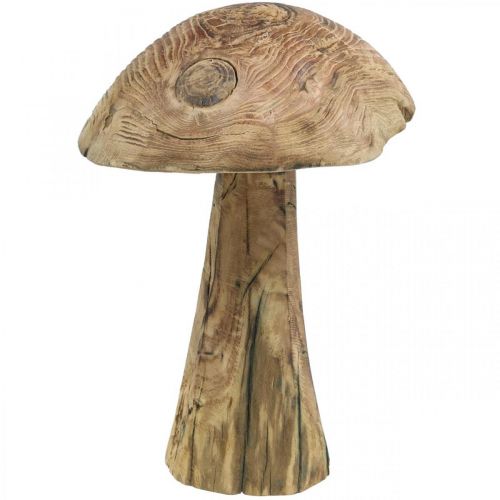 Grybas, paulonijos mediena, ruduo, medžio apdaila Ø18-20cm H28cm