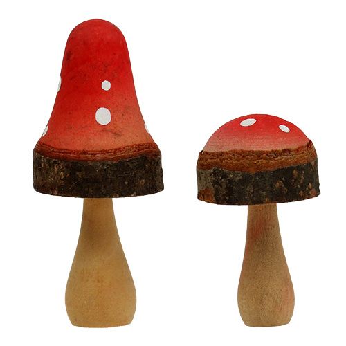 Floristik24 Medinių grybų mišinys 5,5cm - 8cm 8vnt