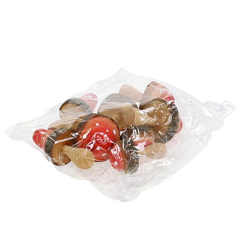 Floristik24 Medinių grybų mišinys 5,5cm - 8cm 8vnt