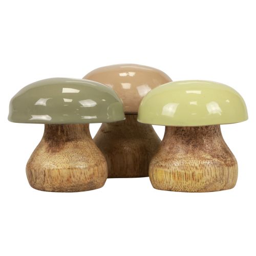 Mediniai grybai Deco grybai Wood Deco smėlio spalvos, žalia Ø5cm A5,5cm 12vnt.