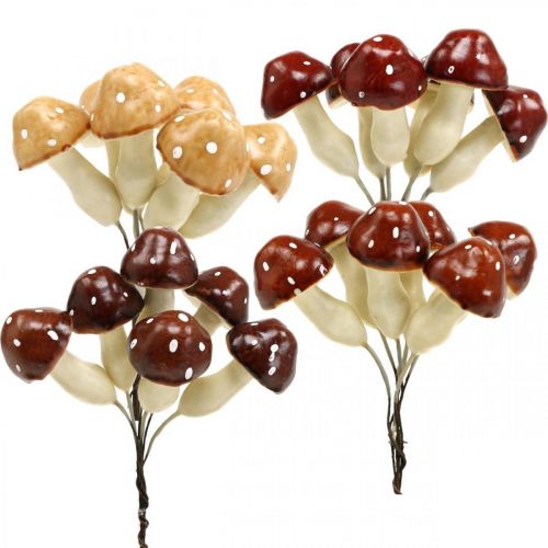 Floristik24 Grybai 3cm x 5cm ant vielos 48 vnt