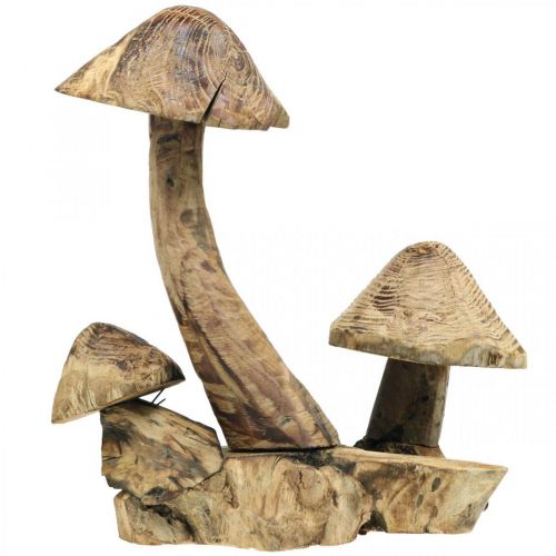 Floristik24 Grybų grupė, paulownia mediena, rudens dekoracija, medžio skulptūra H33cm L30cm