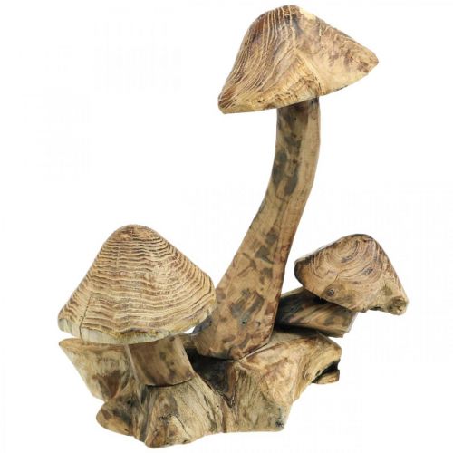 Floristik24 Grybų grupė, paulownia mediena, rudens dekoracija, medžio skulptūra H33cm L30cm