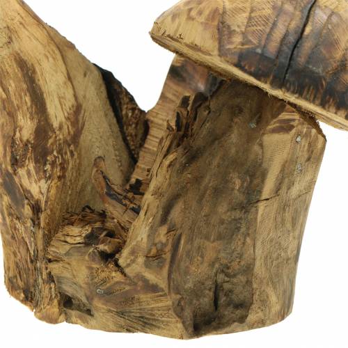Floristik24 Grybai slyvos mediena H27cm