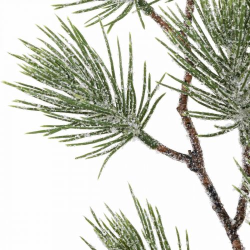 Floristik24 Kalėdinės šakelės Pušies šakelė Apsnigta 54cm 3vnt