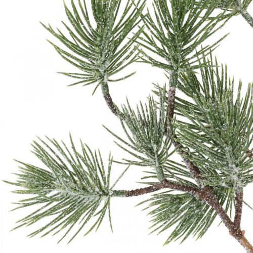 Floristik24 Kalėdų šaka deko šaka pušies šaka pasnigo 77cm