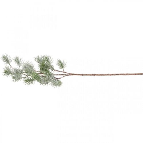 Floristik24 Kalėdų šaka deko šaka pušies šaka pasnigo 77cm